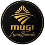 logo black 082026
