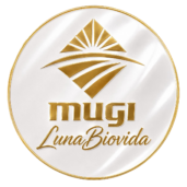 logo gold 082026